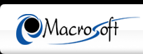 Macrosoft Inc.